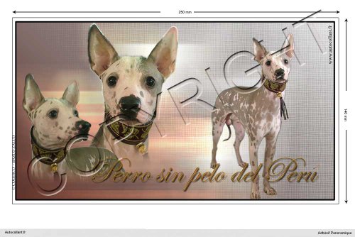 Pets-Easy.com - Adhesivo para perro panorámico (15 a 100 cm), diseño de perro nu-perú