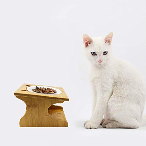 Petsoigné Cuenco para Gatos Perros Elevado Comedero Gato Perro en Cerámica/Acero Inoxidable con Soporte de Madera