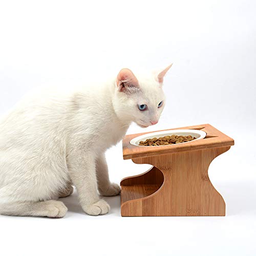 Petsoigné Cuenco para Gatos Perros Elevado Comedero Gato Perro en Cerámica/Acero Inoxidable con Soporte de Madera