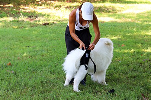 Pfaff médica perro trasero/perro elevación arnés/arnés de ayudar a azul