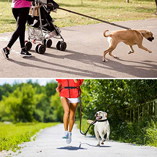 PHILORN Correa para Perros Manos Libres(47"-67") con Costuras Reflectantes, Cinturones de Cintura Ajustables(24"-47") y Correas Elásticas de Doble Manija para Correr/Caminar, Endure 150 lbs …