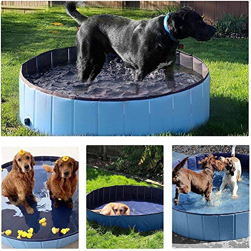 Piscina para Perros Plegable Piscina para Mascotas Bañera de Baño PVC Limpiador Bañera para Perros Bañera para Gatos Bañera,120 * 30CM