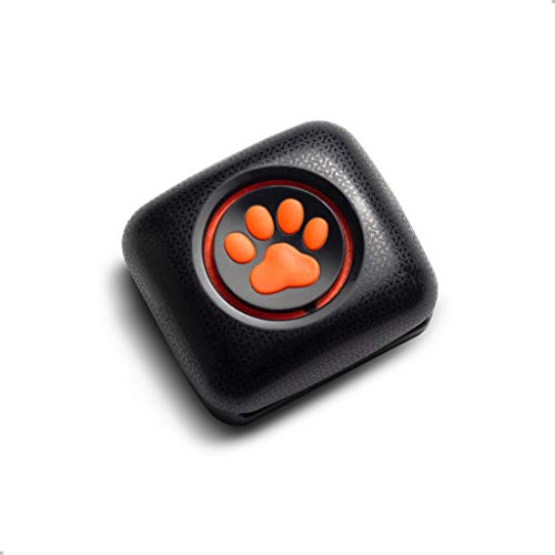 Pitpat 2 - Monitor de Actividad para Perros