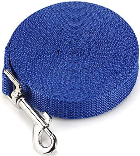 Ploopy Correa de Adiestramiento para Perros, Correa Larga de Rastreo para Perro Ideal Paseo o Amarre (Azul, 10m)