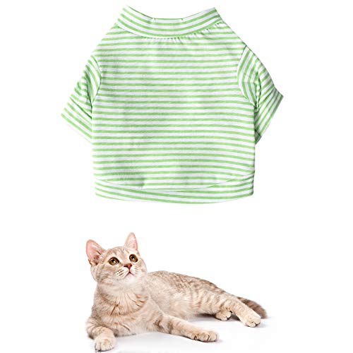 PLUS PO Chaleco Perro Verano Ropa para Gatos Verano Ropa de Chihuahua Ropa para Perros pequeños Cachorro Abrigo Bulldog Francés Ropa Ropa de Gato Mascotas Green,XS