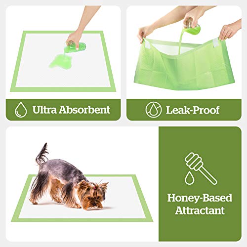 Pogi's Training Pads - Toallitas de Entrenamiento para Perros (20 Unidades) (45x60cm) — Medianas, Súper Absorbentes, Almohadillas de Entrenamiento Ecológicas para Cachorros y Perros Pequeños