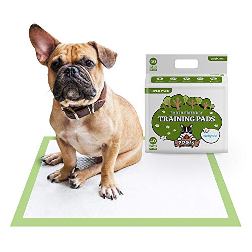 Pogi's Training Pads - Toallitas de Entrenamiento para Perros (40 Unidades) (60x60cm) — Grandes, Súper Absorbentes, Almohadillas de Entrenamiento Ecológicas para Perros Pequeños a Medianos