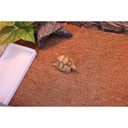 POPETPOP - Alfombra para Reptiles de Fibra de Coco para lagartos, Tortugas, Serpientes, Iguana, 50 x 30 cm