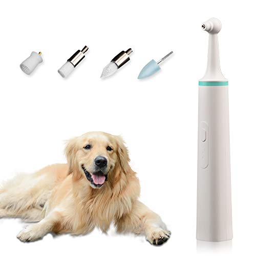 Porcyco Pulidora de Dientes eléctrica para Perros, Kit de Limpieza para Dientes de Mascotas con 4 Cabezales de Cepillo, Limpiador de Manchas para Dientes de Perros