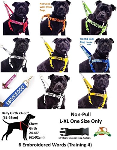 Precaución rojo color Coded S M L reflectante impermeable forro polar forro cálido perros dormir evita accidentes por otros en advertencia de antemano (gran pecho 61 – 92 cm Longitud de espalda 59 cm)