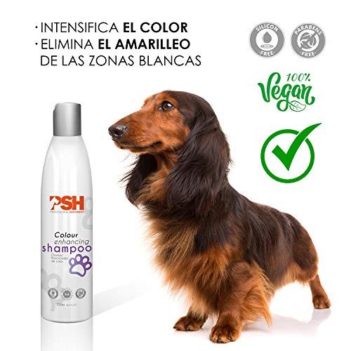 PSH Champú Potenciador de Color - 250 ml