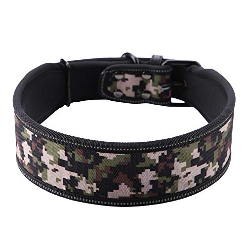 Pssopp Cuello del Animal doméstico de Nylon Ajustable Collar de Perro de la Hebilla Reflectante Collar de adiestramiento de Perros con Relleno Suave para Perros medianos(M-Camuflaje Militar)