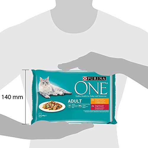 Purina ONE comida húmeda para gato adulto filetes en salsa con pollo 12 x [4 x 85 g]