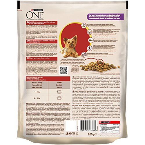 PURINA ONE DD My Dog Is Delicate salmpurina One con arroz 800 g – 8 Unidades