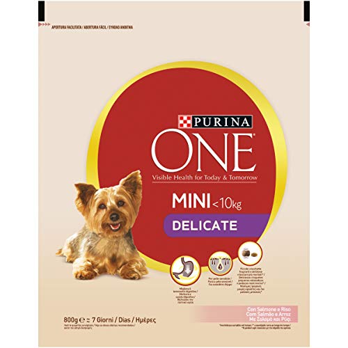 PURINA ONE DD My Dog Is Delicate salmpurina One con arroz 800 g – 8 Unidades