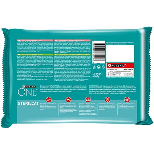 Purina One filettini (Salsa para El Gato sterilizzato, con salmón y Zanahoria, con Pavo y judías, 4 x 85 g – Paquete de 12 Unidades)