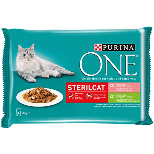 Purina One filettini (Salsa para El Gato sterilizzato, con salmón y Zanahoria, con Pavo y judías, 4 x 85 g – Paquete de 12 Unidades)