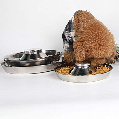 Qazxsw Cuenco para Perros, comederos para Perros, Cuencos de Acero Inoxidable para Mascotas, Cuencos para Perros, Arena para Cachorros, Plato de alimentación para Alimentos, destete, Plata, Aliment