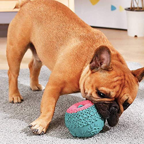 QHLJX Juguete para Perro, Pelota de Perro para Mascotas Muela de Goma Juguete para Perro Perro de masticación Perros Jugar Juguete Bola de Almacenamiento de Agua, Color al Azar