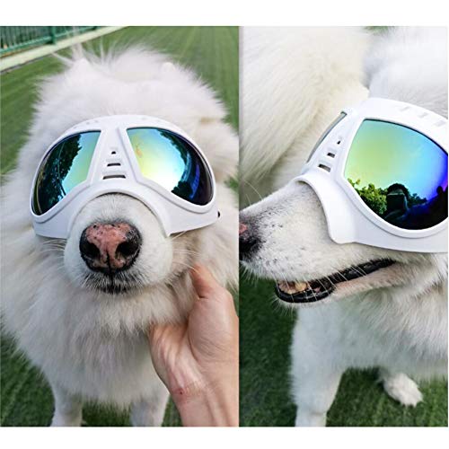 QNMM Gafas para Perros - Protección UV A Prueba de Viento Gafas para Mascotas a Prueba de Nieve, Marco Suave, Correas Elásticas Ajustables - para Perros Medianos Y Grandes