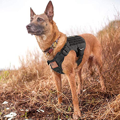 rabbitgoo Arnes Antitirones Perro Táctico de Arnés Perros Grande para Perros de Trabajo Militar con 2 Anillos de Metal Entrenamiento Ajustable sin Tirones para Caminar Cazar Negro M