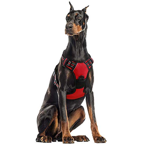 rabbitgoo Rojo Arnés Grande para Perros Arnés Antitirones Perros Arnés Perro Coche con Anillos Fuertes Líneas Reflectantes Tamaño XL Extra Grande