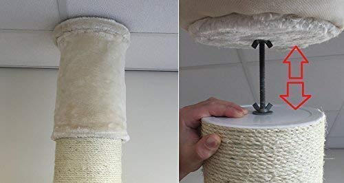 Rascador para gatos grandes Maine Coon Tower Gris claro Hasta el altura de Techo Alto de seulo alturo arbol xxl gato gigante sisal muebles sofa casa casita torre Árboles rascadores