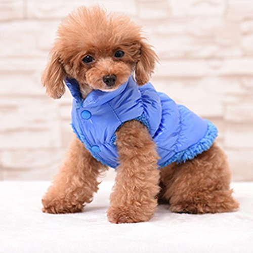 RC GearPro Forro Polar Forrado cálido Perro Chaqueta Cozy Impermeable a Prueba de Viento Chaleco del Perrito Abrigo de Invierno Ropa para Perros para Perros pequeños medianos Grandes (Blue, S)