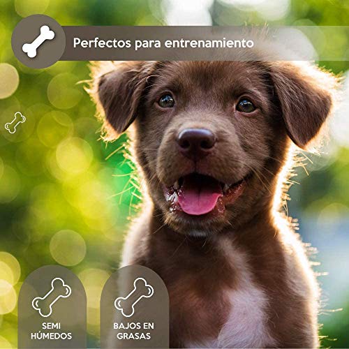 Rc Ocio Chuches para Perros Advance Pack 2 Unidades de premios Aperitivos en Forma de Huesos Snacks Anti Mal Aliento golosinas Bajas en Grasas Snack Ideal para adiestrar Cachorros (400gr)