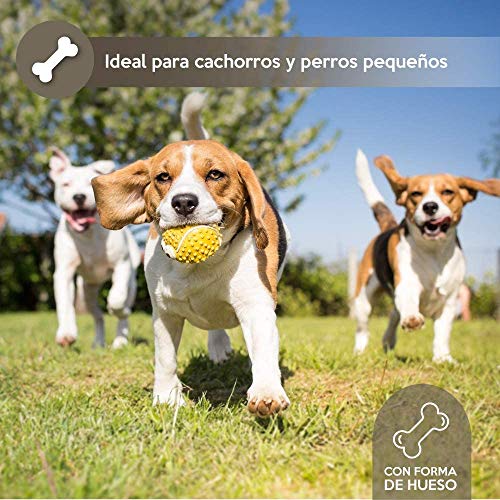 Rc Ocio Chuches para Perros Advance Pack 2 Unidades de premios Aperitivos en Forma de Huesos Snacks Anti Mal Aliento golosinas Bajas en Grasas Snack Ideal para adiestrar Cachorros (400gr)