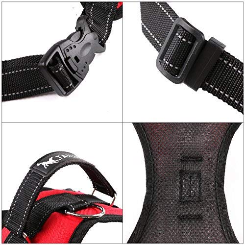 RCruning-EU Perros Pecho de Arnés Mascotas Reflectante Antitranspirante Acolchado Dog Vest Harness Ajustable Arnes Seguridad Chaleco Cabestro para Ejercicio de Caminar Formación Corriendo-Red-L