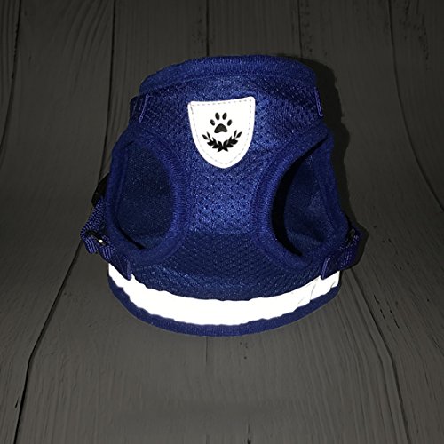 reflectantes Air Mesh Ganz Tags arnés del perro Sport Vest Vajilla ajustable para pequeño Medianas Perros transpirable Harness mascotas Pecho geschirre con 2 m perro Cuerda Cuerda para Pet Leash