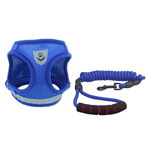 reflectantes Air Mesh Ganz Tags arnés del perro Sport Vest Vajilla ajustable para pequeño Medianas Perros transpirable Harness mascotas Pecho geschirre con 2 m perro Cuerda Cuerda para Pet Leash