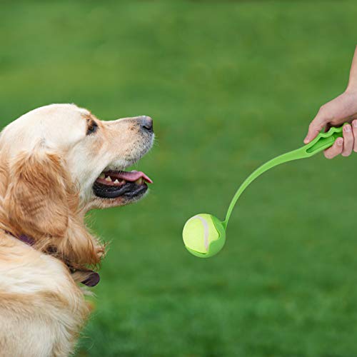 Relaxdays Lanzador Pelotas, Juego de 2 Unidades con 5 Bolas, Juguete Perros, Plástico, Azul y Verde