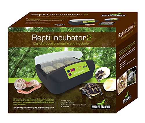 Reptiles Planet incubateur Reptiles Tortugas Repti Incubator con guía