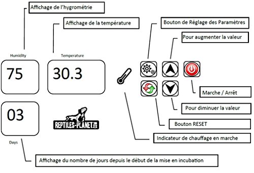 Reptiles Planet incubateur Reptiles Tortugas Repti Incubator con guía
