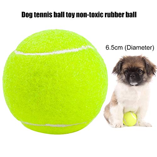 RIsxffp 6.5cm Durable Goma no tóxica Perro Pelota de Tenis Juguete Mascota Juego de Captura Entrenamiento Green