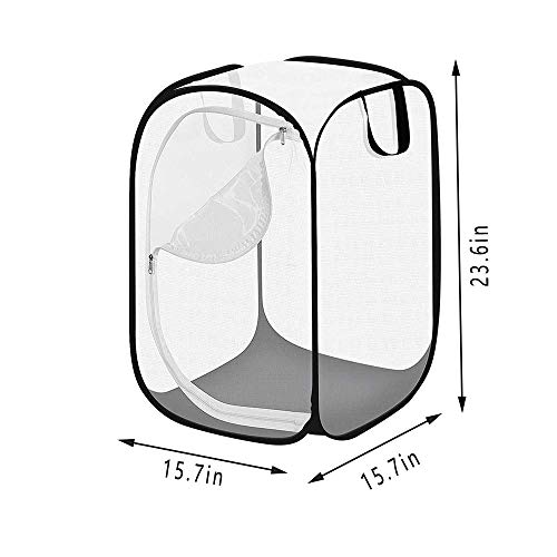 Ritte 1 Pieza Jaula Hábitat Mariposa, Jaula Hábitat Plantas, Jaula Malla Plegable para Hábitat Insectos, Reproducción Plántulas