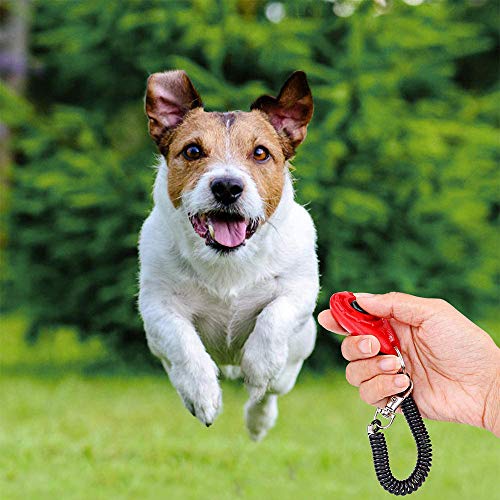 Ritte Clicker para Adiestramiento Perro, 4 Piezas Clicker para Perros, Clicker de Entrenamiento Profesional ABS con Brazalete En Espiral para Perros, Gatos, Caballos (4 Colores)