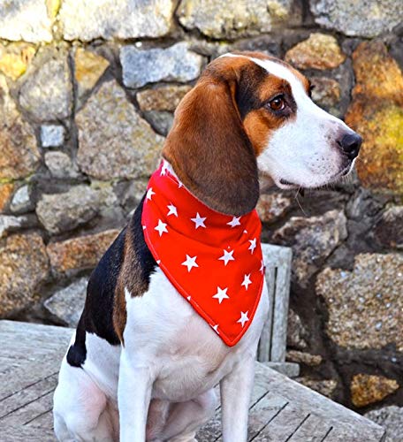 Rojo con Estrellas Blancas Dimples Bandana para Perro - pañuelo para Perros pequeños medianos y Grandes - Accesorios para Perros - Bufandas para Mascotas y Gatos - Regalo del dueño del Perro 60cm