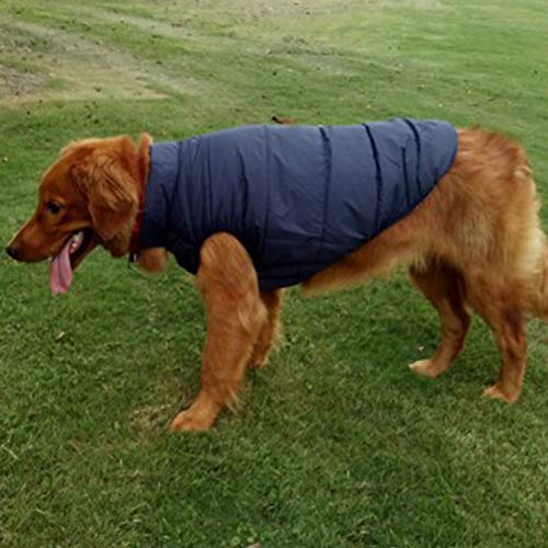 Ropa Cálida para Perros de Mascotas, Abrigos y Chaquetas Impermeables de Invierno para Perros pequeños y medianos Grandes Chaleco de Perro Cachorro, Resistente al viento,Armada,XL: Busto (66CM)