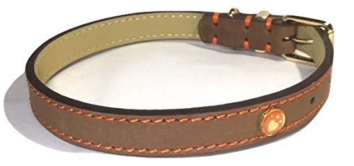 Rosewood. Collar Piel para Perros, Color marrón