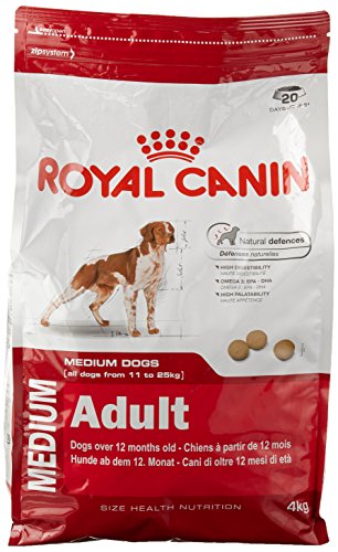 ROYAL CANIN C-08402 S.N. Medium Adult - 4 Kg