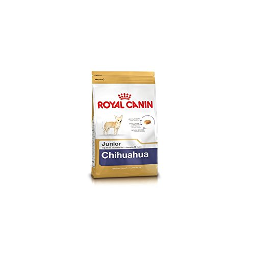 Royal Canin C-08988 S.N. Chihuahua Junior - 500 gr