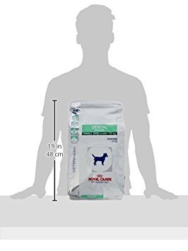 ROYAL CANIN C-11255 Diet Dental Small - 3.5 Kg