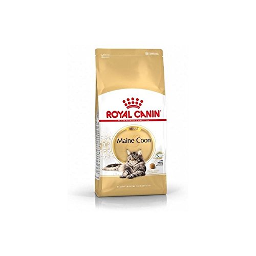 Royal Canin C-58640 Maine Coon - 4 Kg