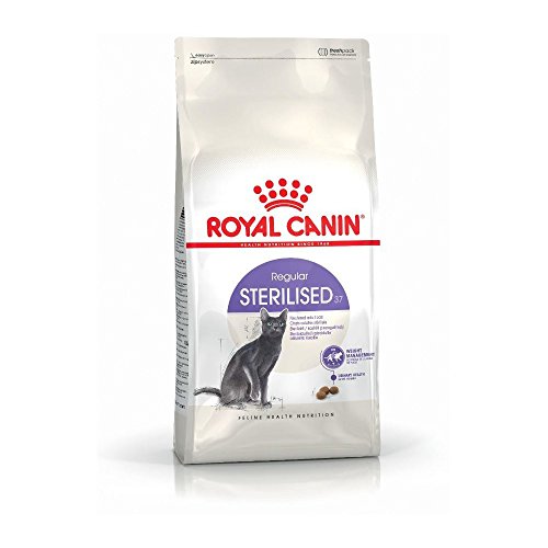 Royal-Canin esterilizado Pienso