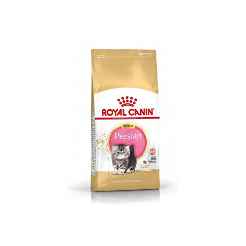 ROYAL CANIN - Persian pienso para Gatitos de Raza Persa