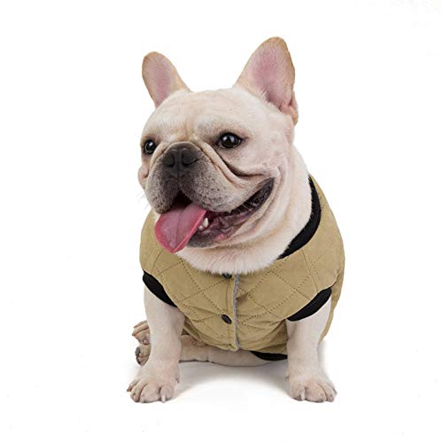 RTEAQ Abrigo Perro Ropa de algodón Caliente para la Chaqueta de Invierno de Bulldog, Perros pequeños, Abrigo de Malta Carlino, Ropa para Perros