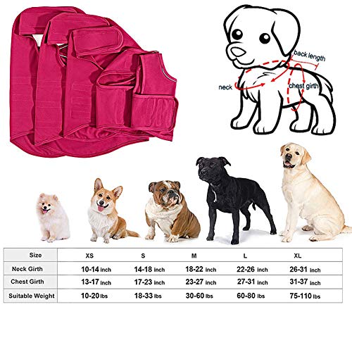 Rysmliuhan Shop Trajes Perro Abrigo Perro Camiseta médica para Perros Abrigos para Perros medianos Chaqueta antiansiedad para Perro Alivio de ansiedad para Perros Gray,XL